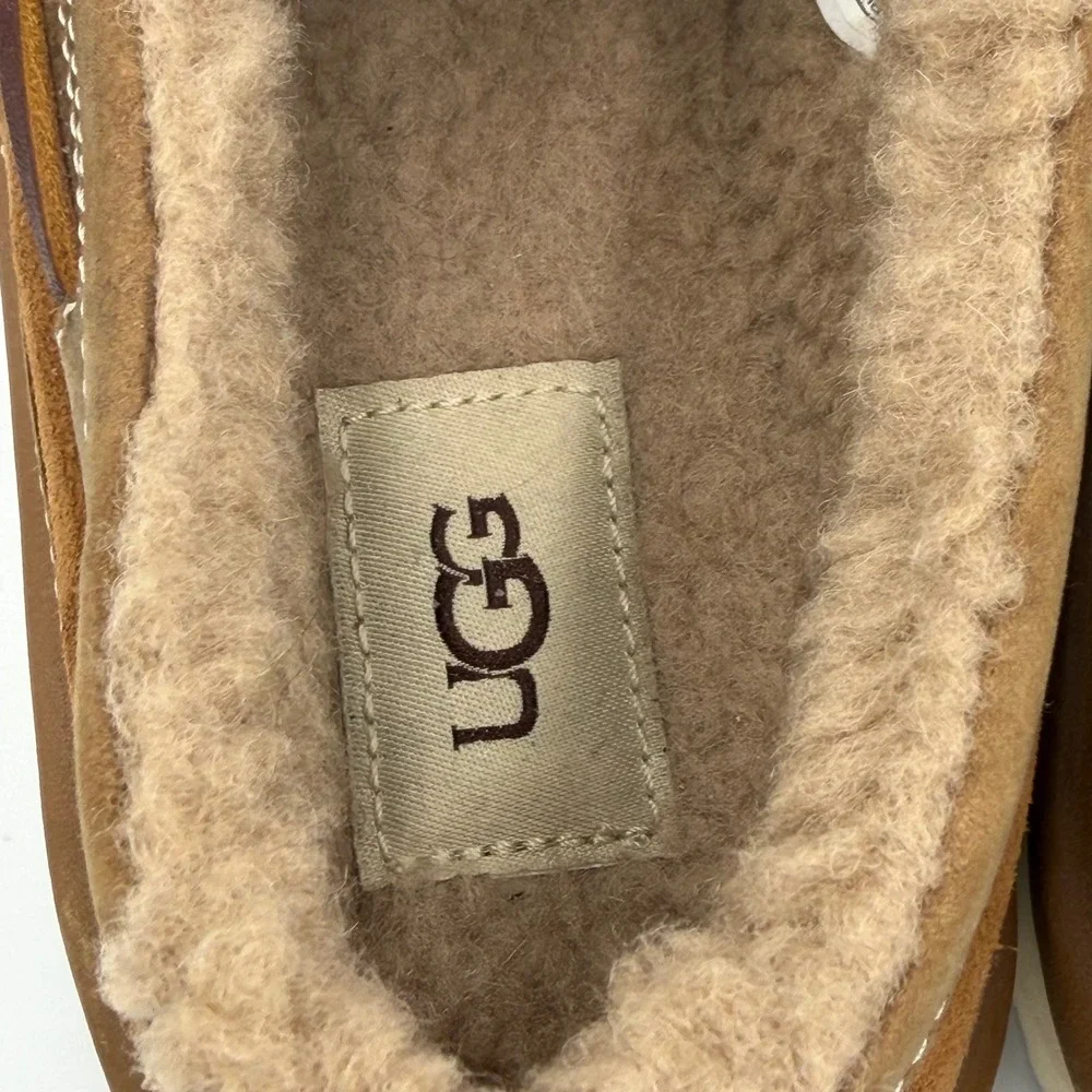 UGG mens dex